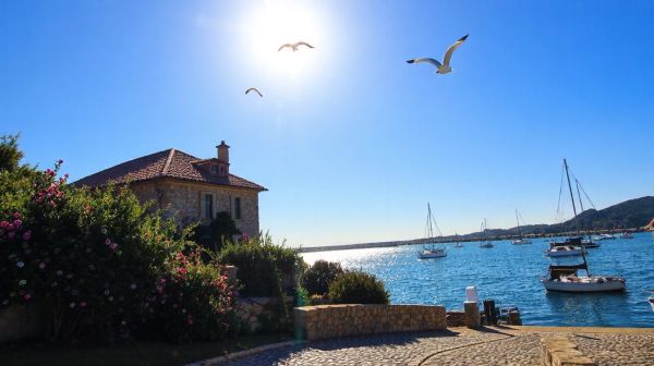 Investir à Collioure : les meilleures décisions immobilières